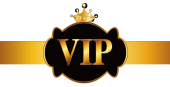 Проститутка VIP